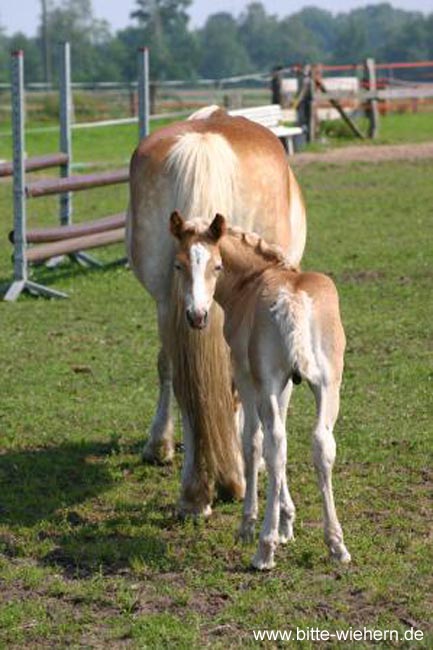 image012 (2)