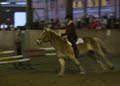 IMG_0144 (2)